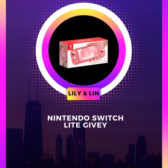 Other - Nintendo Switch Lite Briefcase